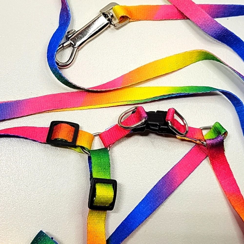 Dog leash & harness 2pc rainbow set NEW